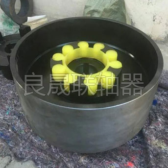 MLL型带制动轮梅花形弹性联轴器1 MLL型带制动轮梅花形弹性联轴器1